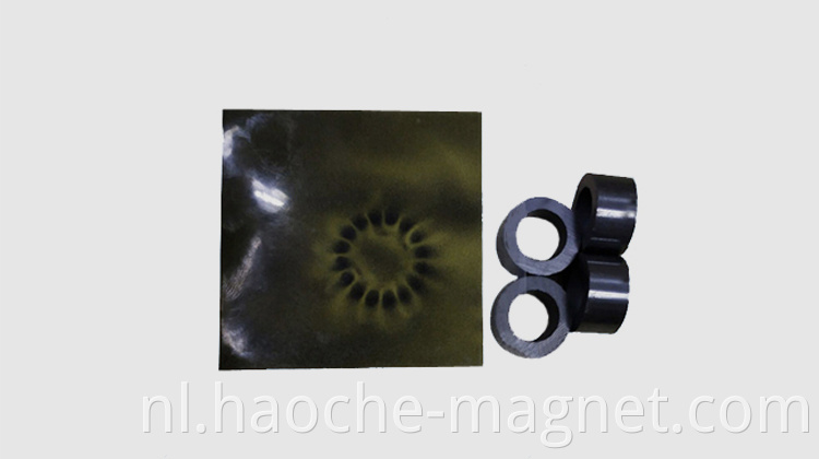 Snelheidsmotor magnetische ring 16 -paal gemagnetiseerde permanente ferrietmagneetring